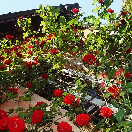 Villa Sassi Como Exterior photo